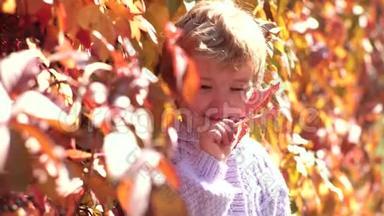 可爱的孩子坐在公园里秋天的落叶上。 快乐的孩子在秋叶背景下在户外笑。 小可爱